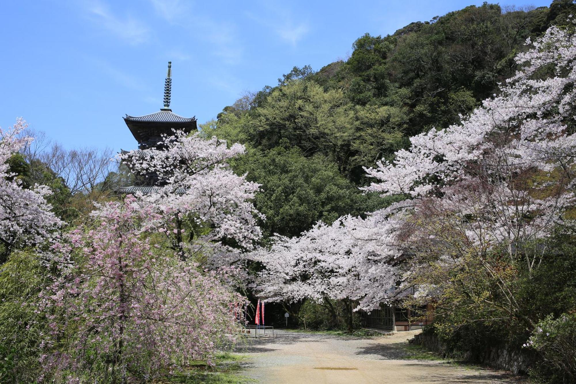 Ryokan Koyokan Yasugi Экстерьер фото